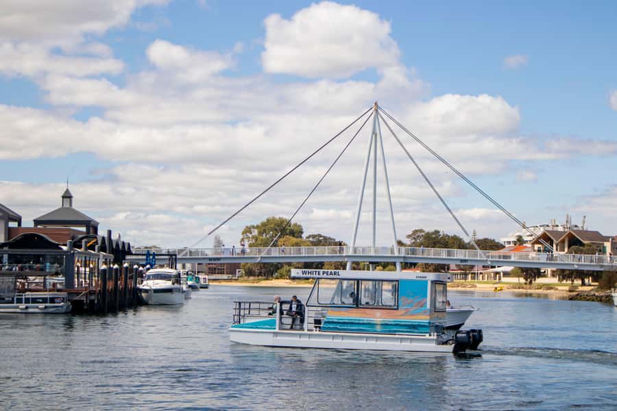 Mandurah: Sightseeing Dolphin Cruise with Tour Guide - Who should book this one-hour cruise?