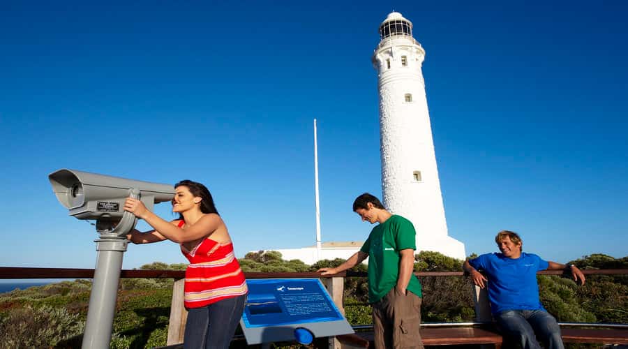 Margaret River and Busselton Jetty: Day Trip from Perth - Why this day trip covers so much ground
