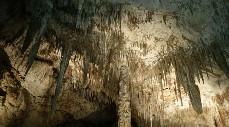 Margaret River and Busselton Jetty: Day Trip from Perth - Mammoth Cave and the limestone world below Boranup