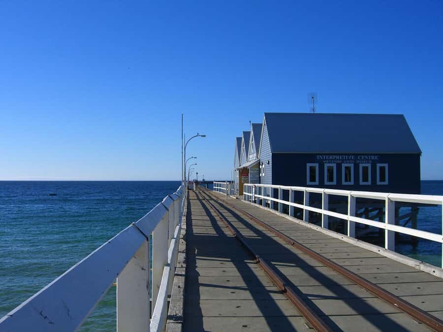 Margaret River and Busselton Jetty: Day Trip from Perth - What the driver-guide adds to the experience