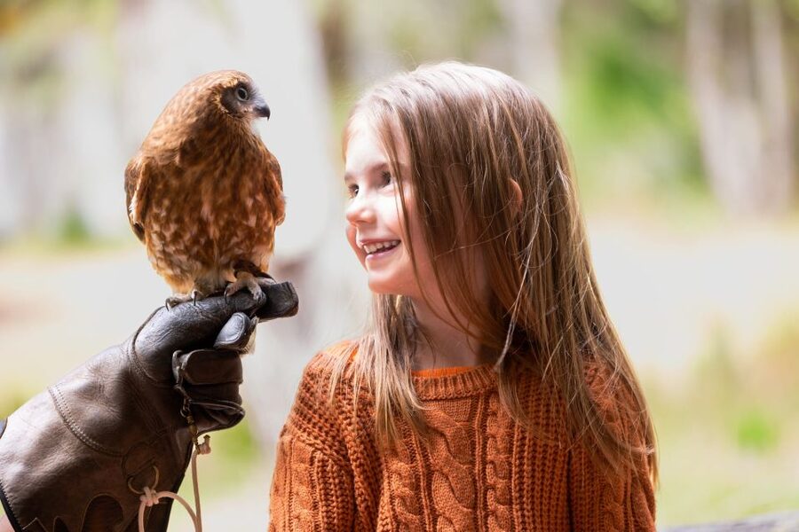 Margaret River: Birds of Prey Encounter and Forest Walk - The 1km forest walk and resident birds