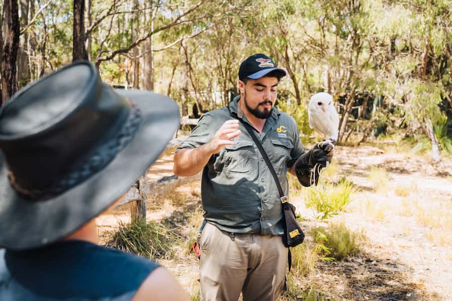 Margaret River: Birds of Prey Encounter and Forest Walk - What happens during the 90-minute visit