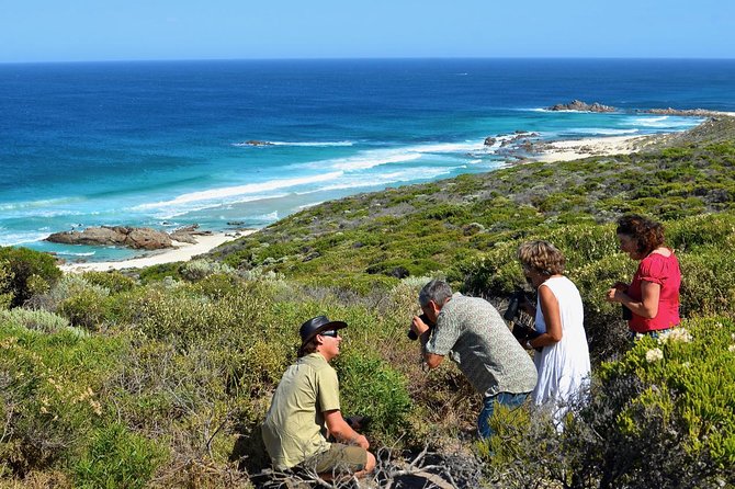 Margaret River Coastal and Wildlife Eco Trip from Busselton or Dunsborough - Key points to know