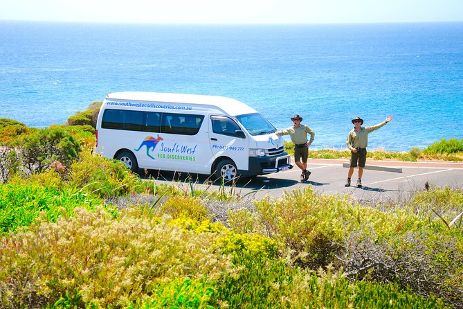 Margaret River Coastal and Wildlife Eco Trip from Busselton or Dunsborough - Kangaroos, orchids, and other wildlife