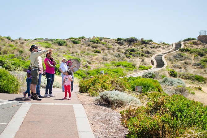 Margaret River Coastal and Wildlife Eco Trip from Busselton or Dunsborough - Cape Naturaliste and the limestone coast