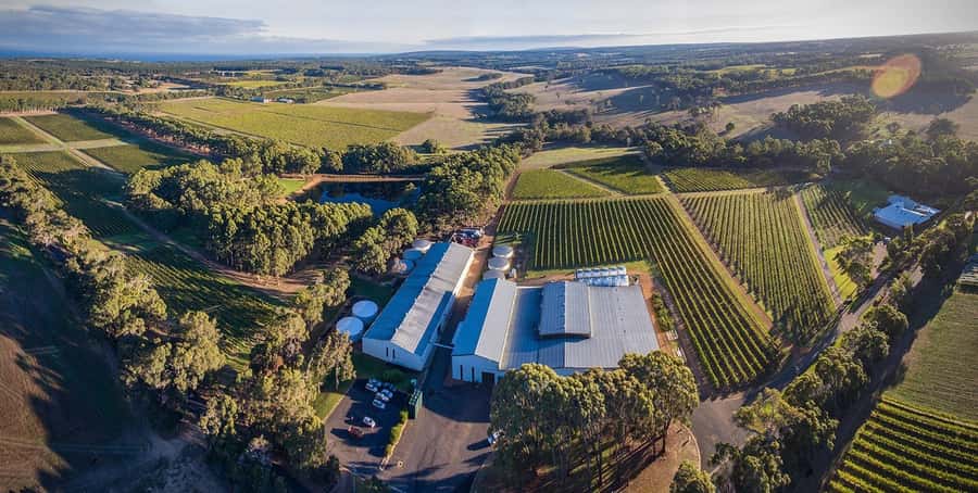 Margaret River: Full-Day Wine Tour - A Full Day That Goes Beyond Wine
