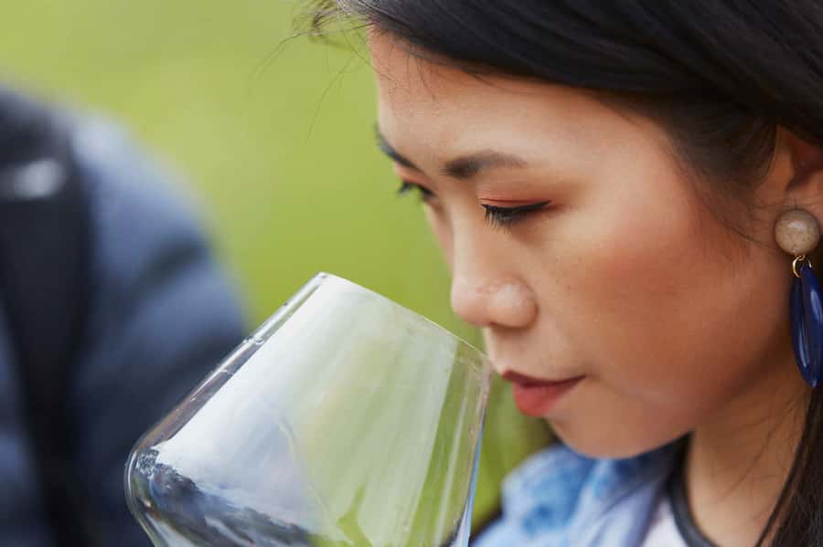 Margaret River: Full-Day Wine Tour - McHenry Hohnen and Minimal-Intervention Wine
