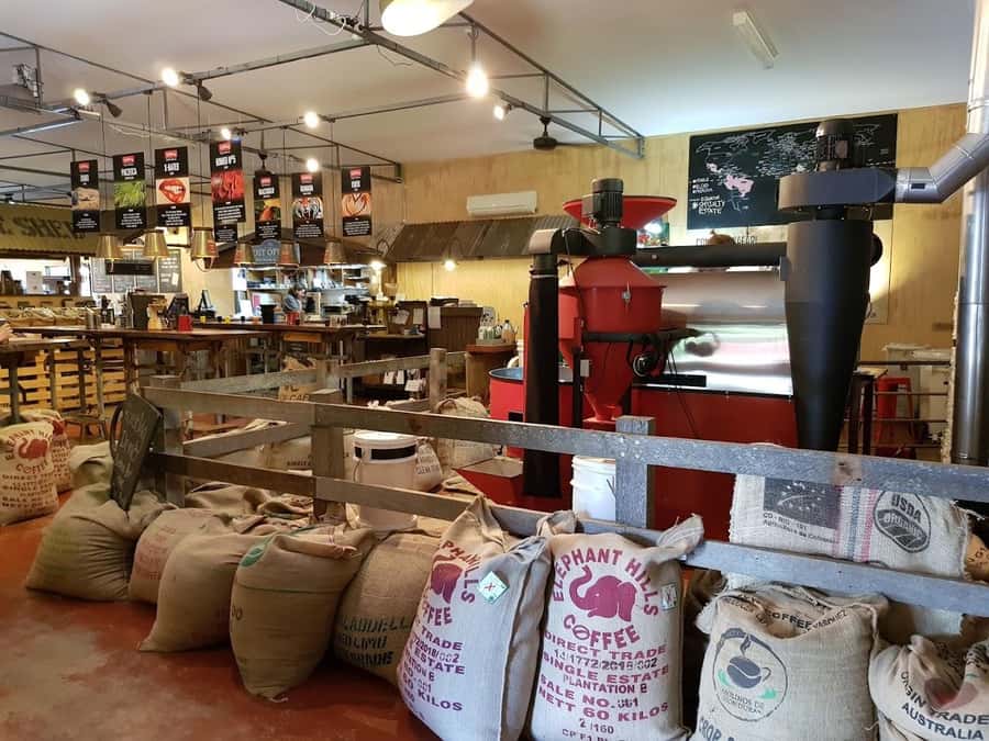 Margaret River: Full-Day Wine Tour - Finishing at The Servo Taphouse