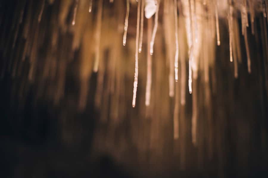Margaret River: Lake Cave Fully-Guided Tour - What you see beside the underground lake
