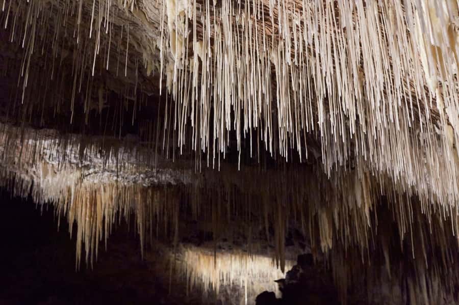 Margaret River: Lake Cave Fully-Guided Tour - The suspended table and the cave’s visual tricks