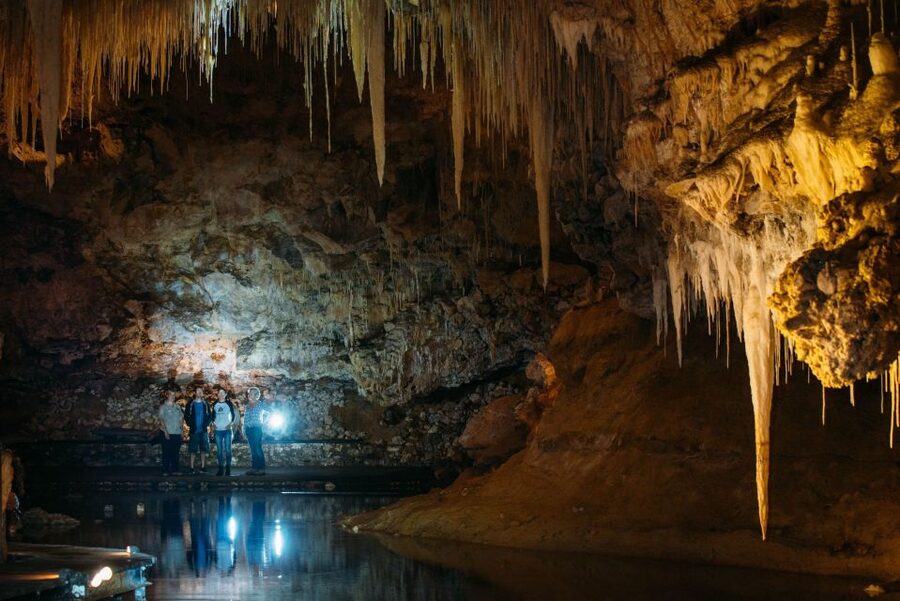 Margaret River: Lake Cave Fully-Guided Tour - How the one-hour format works