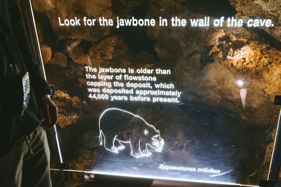 Margaret River: Self-Guided Audio Tour of Mammoth Cave - Mammoth Cave compared with nearby choices