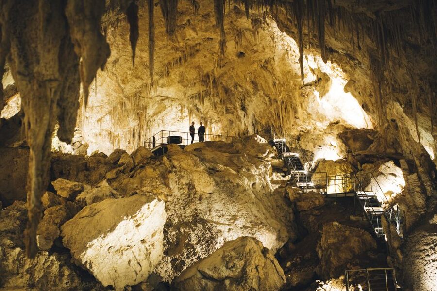 Margaret River: Self-Guided Audio Tour of Mammoth Cave - The Marri forest finish