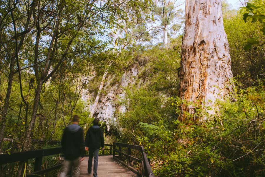 Margaret River: Self-Guided Audio Tour of Mammoth Cave - Access, effort, and who should book