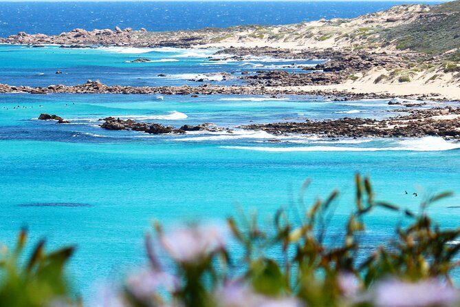 Margaret River Wine and Sights Discovery Tour from Busselton or Dunsborough - Why this half-day route works so well