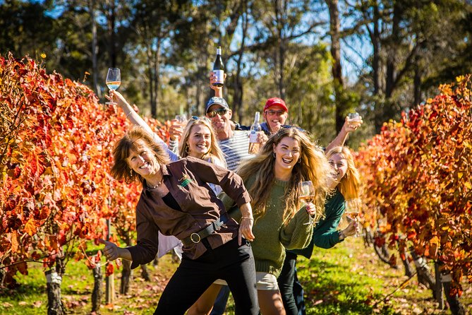 Margaret River Winery, Brewery Tour with Gourmet Lunch. - Key points to know before booking