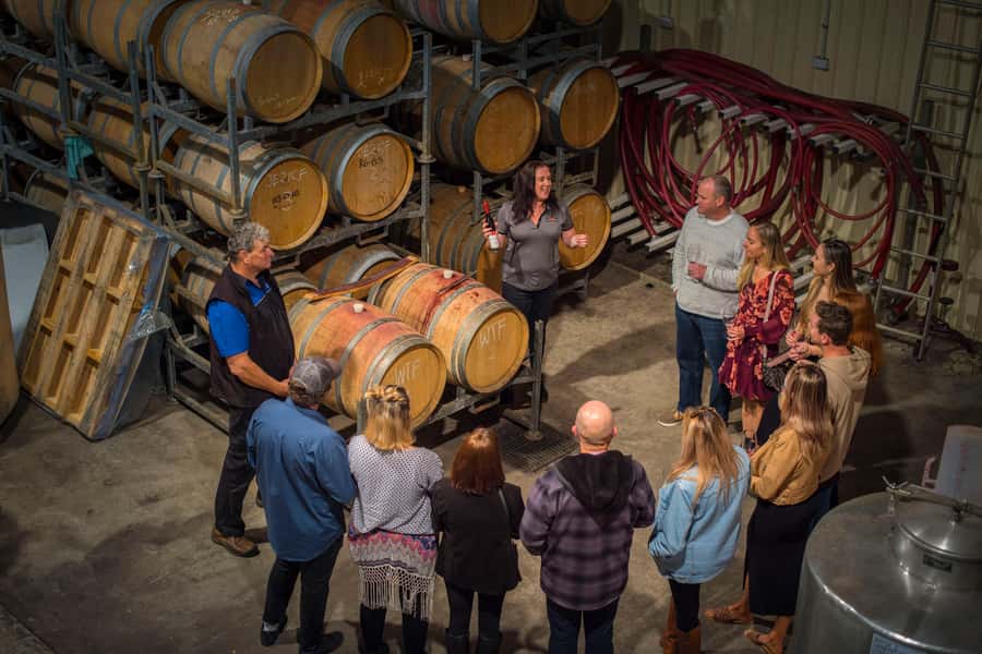 Margaret River: Winery Tour with Lunch and Brewery Visit - A full day built around variety