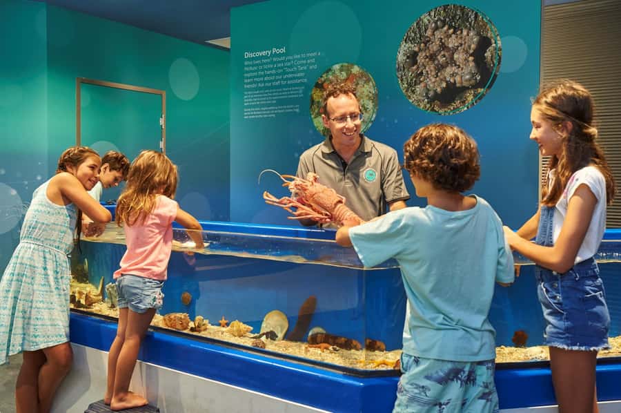 Marine Discovery Centre - See the 360-degree Digital Dolphinarium