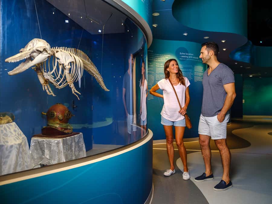 Marine Discovery Centre - Add Koombana Bay’s human story