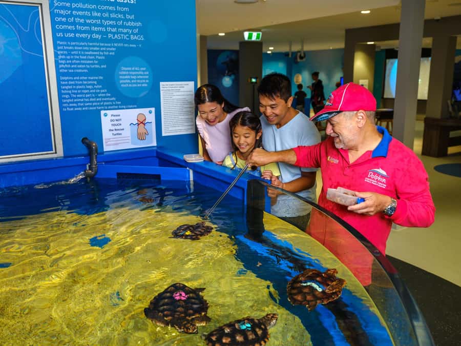 Marine Discovery Centre - Decide if 90 minutes is enough