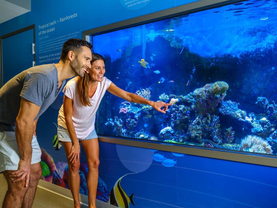 Marine Discovery Centre - Consider the $16 price carefully