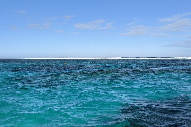 Marine Eco Safari - Swim with Manta Rays - Bateman’s Bay and the manta ray swim