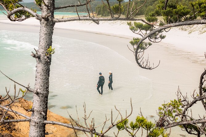 Matador Whitsundays - Whitehaven Beach and the Hill Inlet lookout