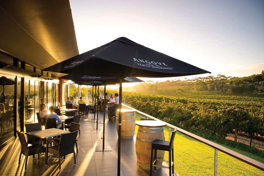 McLaren Vale North: Hop-On Hop-Off Tour - Four stops and a timetable you control