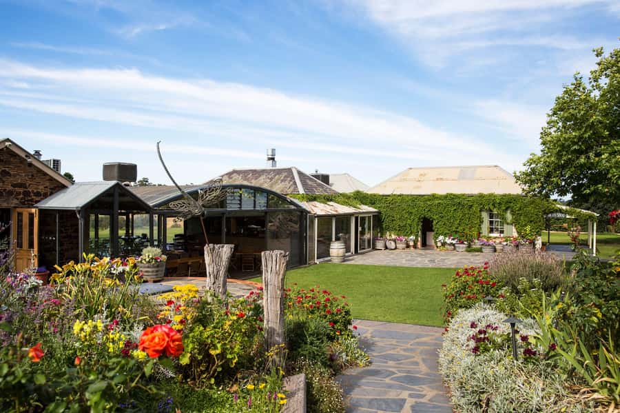 McLaren Vale North: Hop-On Hop-Off Tour - Guides who make the self-guided day easier