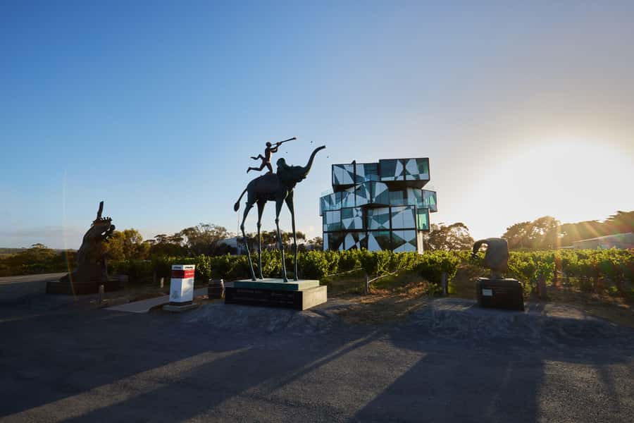 McLaren Vale North: Hop-On Hop-Off Tour - From Adelaide to McLaren Vale North