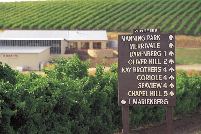 McLaren Vale Shiraz Trail Cycling Tour from Adelaide - Why cycling works so well in McLaren Vale