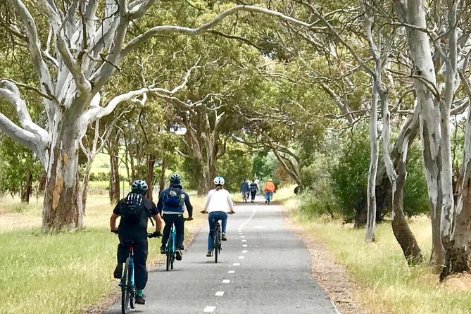 McLaren Vale Shiraz Trail Cycling Tour from Adelaide - Platter lunch and the food side of the tour