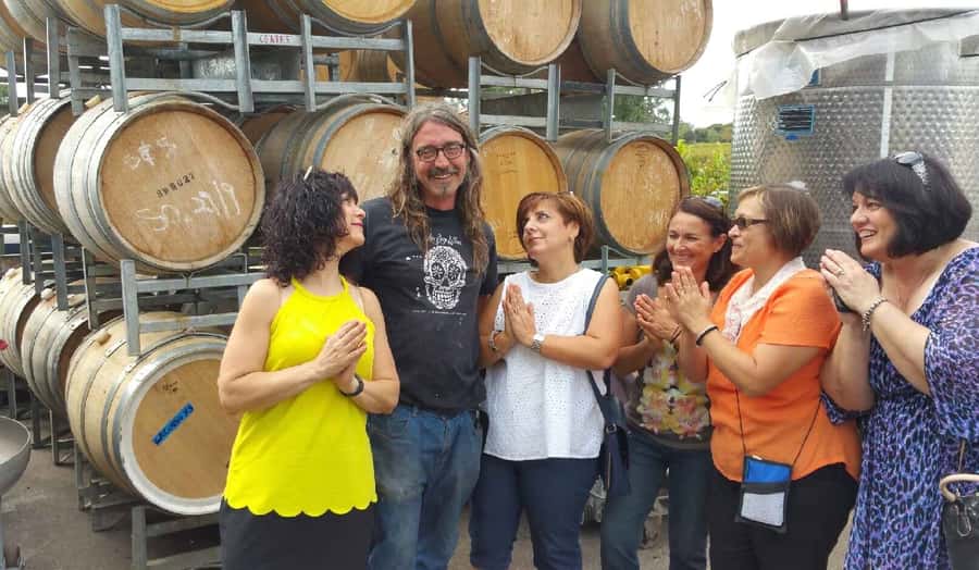 McLaren Vale: Small Group Wine Tour (Includes Lunch) - The afternoon shift from wine to gin or beer