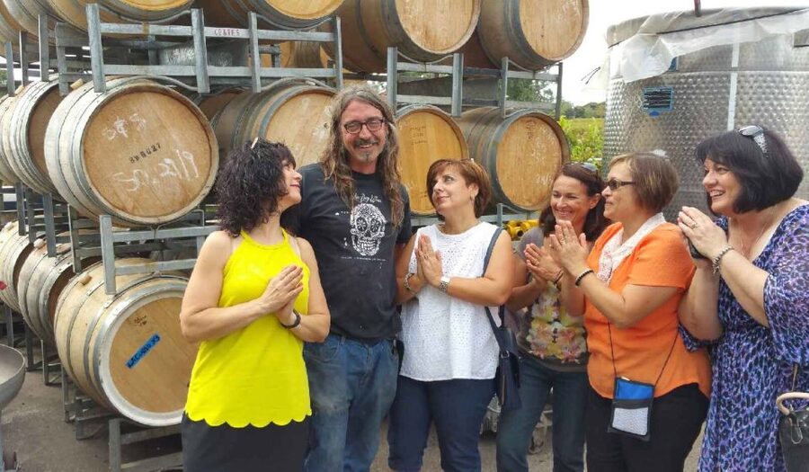 McLaren Vale: Small Group Wine Tour (Includes Lunch) - What the $138 price really covers