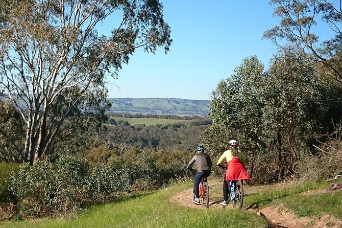 McLaren Vale Wine Tour by Bike - Rolling down Willunga Hill into wine country