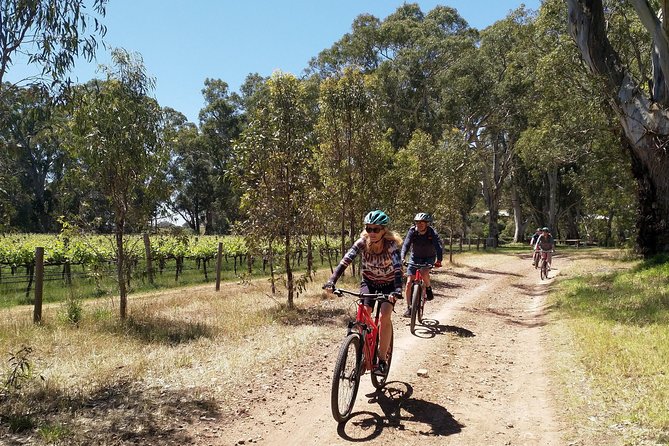McLaren Vale Wine Tour by Bike - Winery tastings and the local-produce lunch