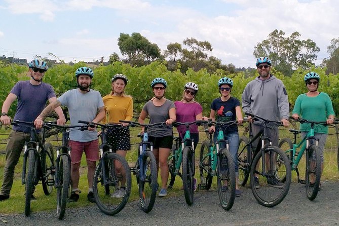 McLaren Vale Wine Tour by Bike - Is $142.73 good value?