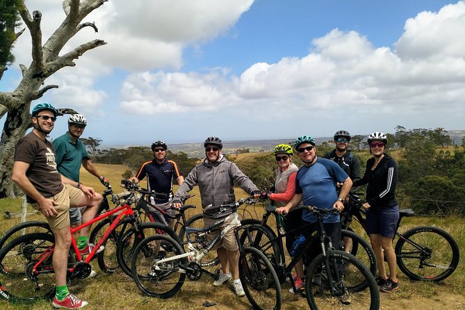 McLaren Vale Wine Tour by Bike - Pine trees, trails, and the first ride