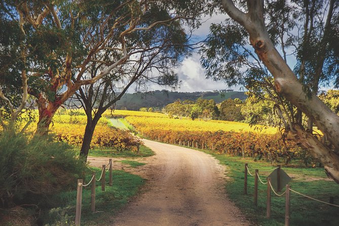 McLaren Vale Winery Small Group Tour with Wine Tasting and Lunch - From Adelaide to McLaren Vale by the coast
