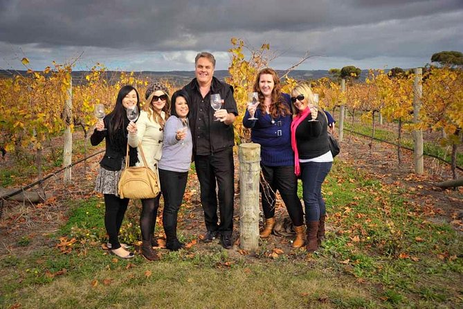 McLaren Vale Winery Small Group Tour with Wine Tasting and Lunch - Why McLaren Vale is more than a Shiraz stop