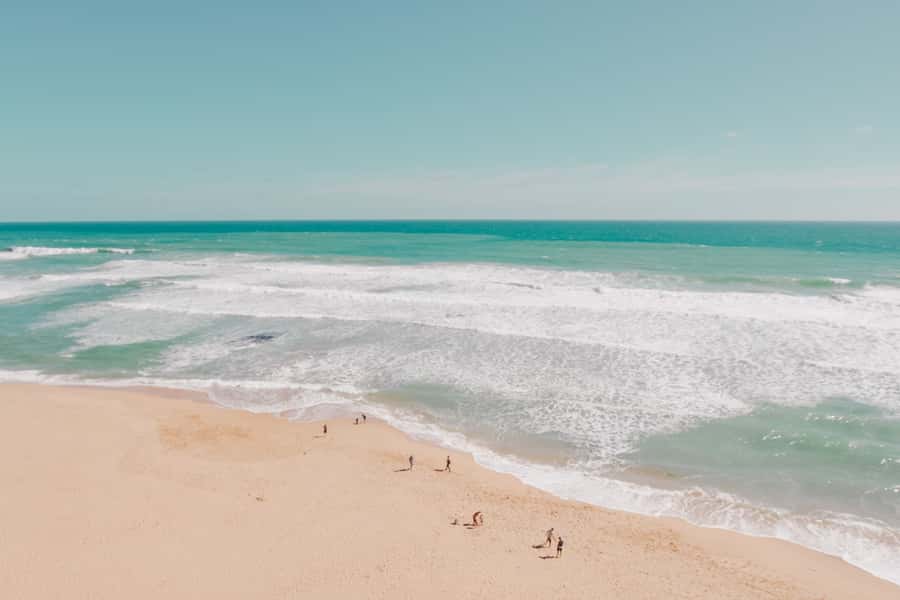 Melbourne: 12 Apostles, Otways & Great Ocean Road Day Tour - The pace, vehicle, and long day
