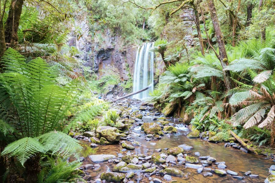 Melbourne: 12 Apostles, Otways & Great Ocean Road Day Tour - Meeting your guide in central Melbourne