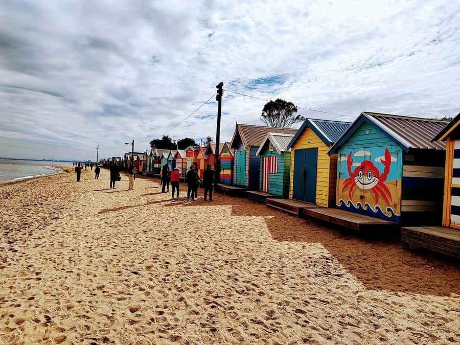 Melbourne 3-Hour Small Group Tour with Beach Boxes - A fast introduction to Melbourne’s many faces