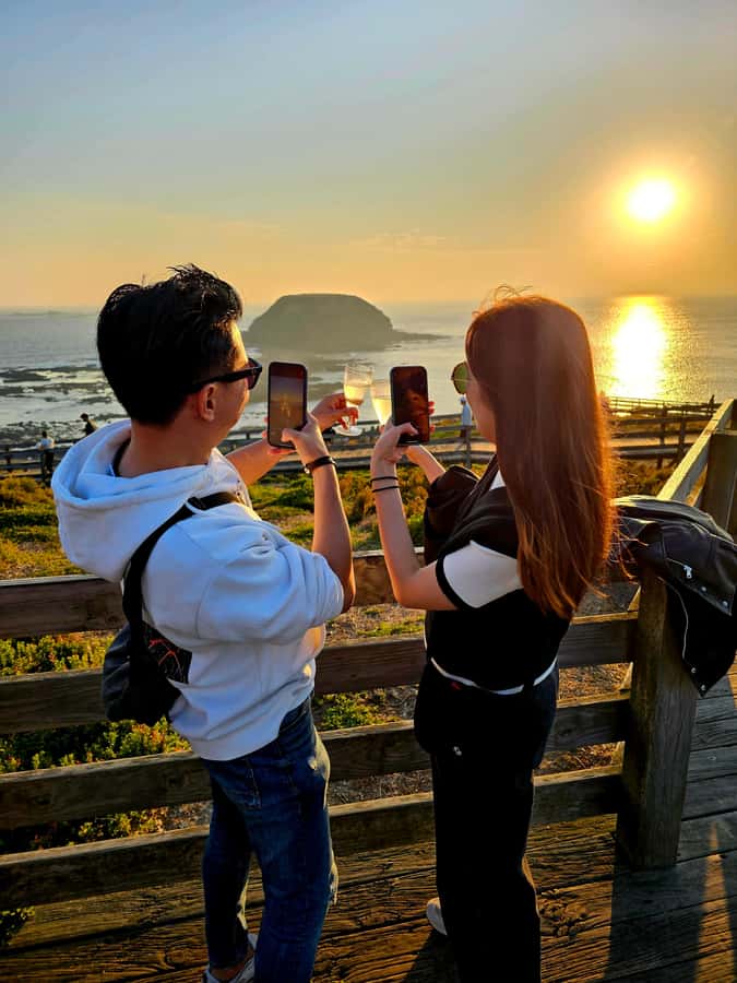 Melbourne: Boutique Phillip Island Wine, Dine & Penguin Tour - Why this Phillip Island day trip works