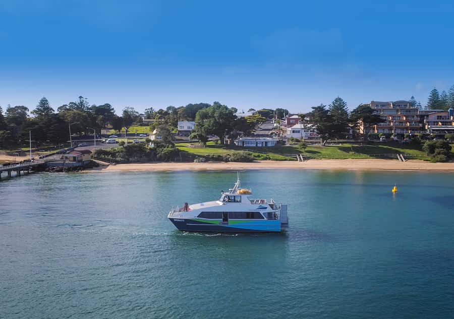 Melbourne: French and Phillip Island Wildlife Expedition - A farm-gate pause with local flavor