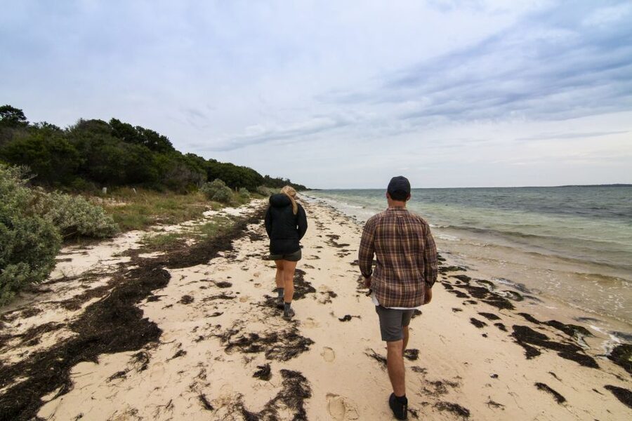 Melbourne: French and Phillip Island Wildlife Expedition - What the guides add to the day