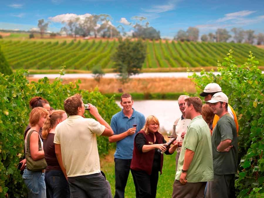 Melbourne: Full-Day Yarra Valley Wine Experience with Lunch - Balgownie Estate makes lunch the centerpiece