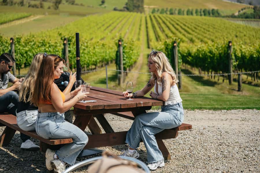 Melbourne: Full-Day Yarra Valley Wine Experience with Lunch - Greenstone begins with the basics