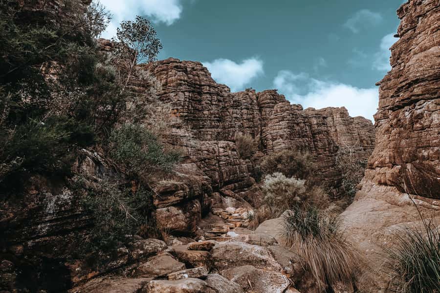 Melbourne: Grampians Day Tour - Halls Gap and a chance to spot kangaroos