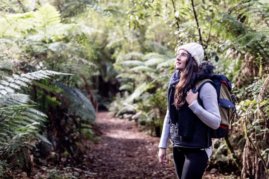 Melbourne: Great Ocean Road, 12 Apostles & Rainforest Tour - Loch Ard Gorge and the Shipwreck Coast story